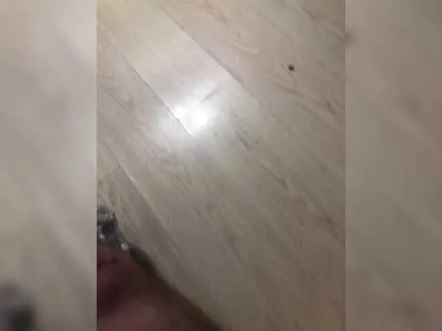 achilessynpilea on BongaCams