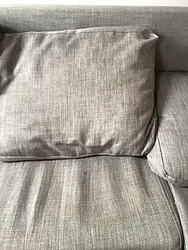 PrettyNina77 — Step by step to my rent goal  Every to