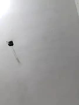 radhika2 on StripChat