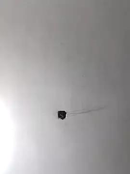 radhika2 on StripChat