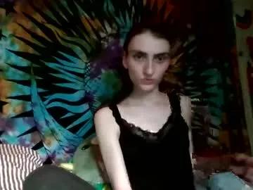 stonedtranny69 from Chaturbate is Freechat